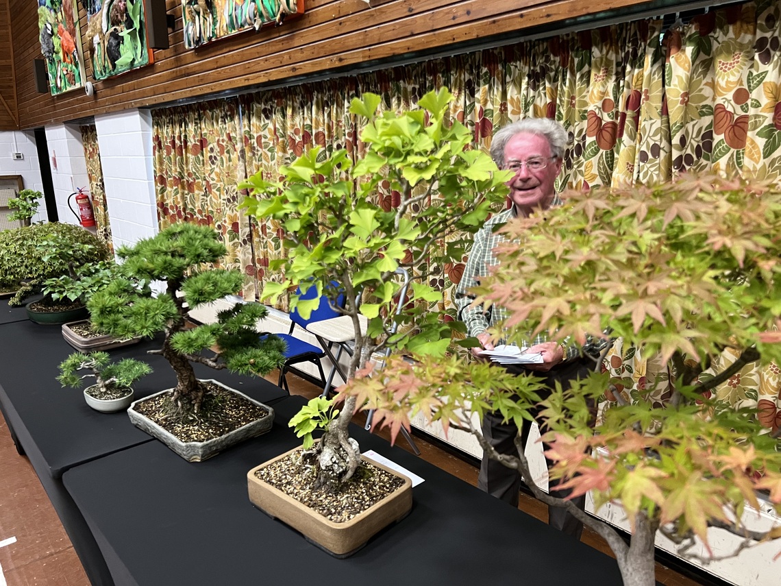 Bonsai